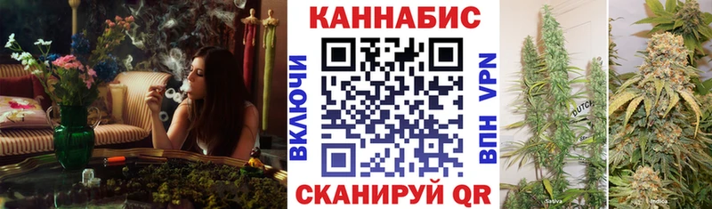 Купить закладки  Шенкурск  Каннабис VHQ 